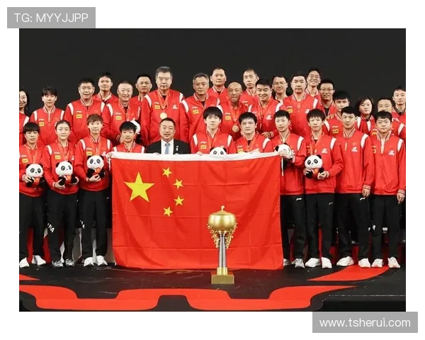 乒乓球比赛经验排行榜揭晓西安乒乓球队荣获第九名成就辉煌