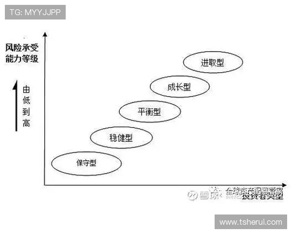 北京排球队速度对比独家解读与战术分析探讨