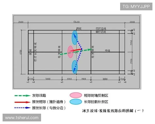 杭州篮球队的节奏分析与战术探讨如何提升球队竞争力