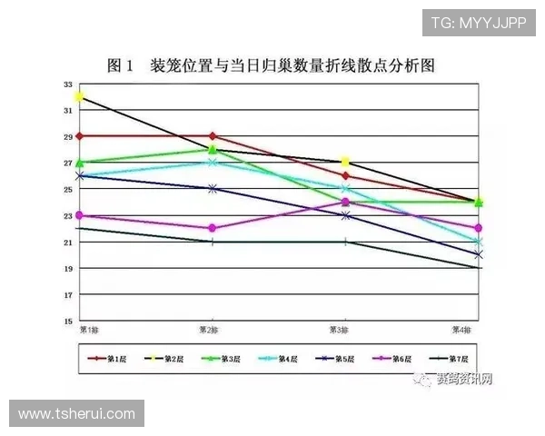 武汉篮球队大满贯点评赛场表现与比赛经验的深度分析