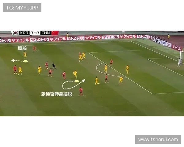 武汉排球队战术解析与排球比赛策略的深度探讨