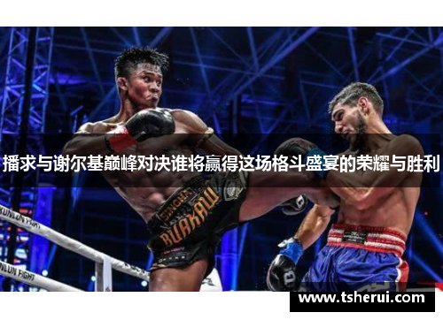 播求与谢尔基巅峰对决谁将赢得这场格斗盛宴的荣耀与胜利
